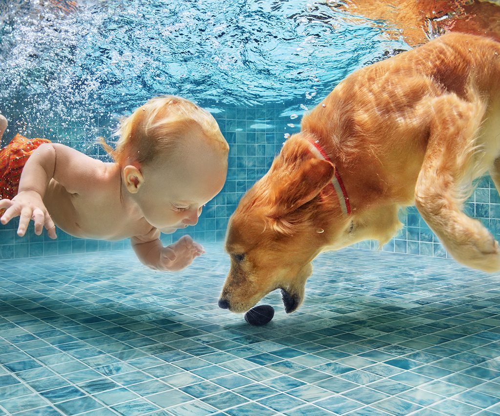 Our new pool spa and wellness brochure